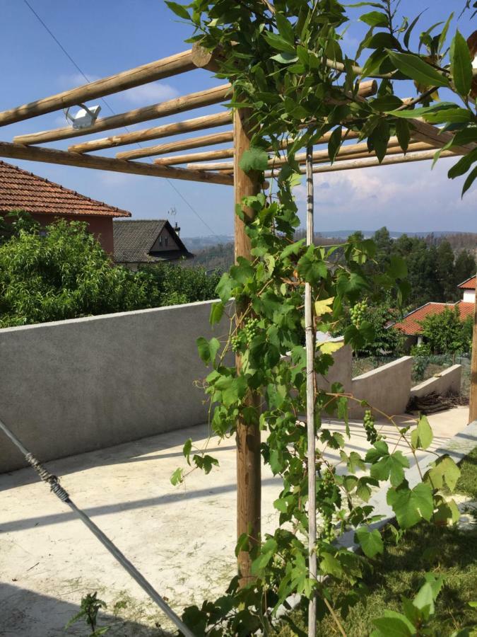 Vale Coelhos Casa De Campo Sarnadela Luaran gambar